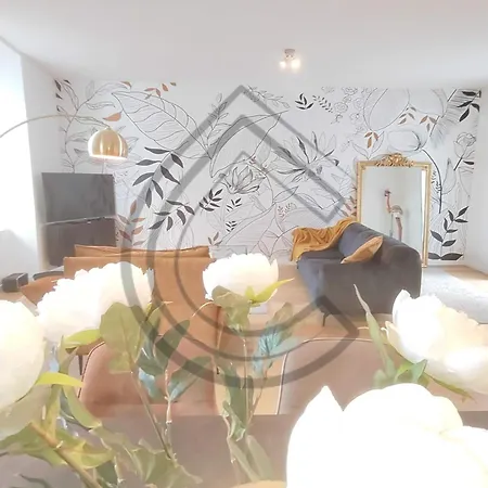 Cocon Du Centre 公寓