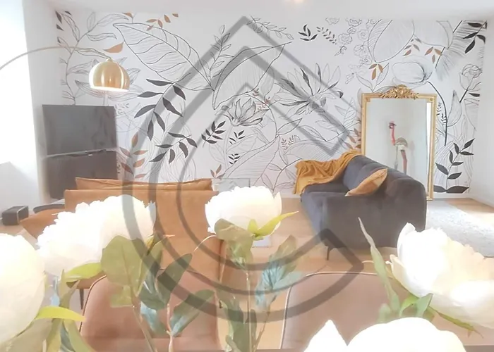 Cocon Du Centre Daire