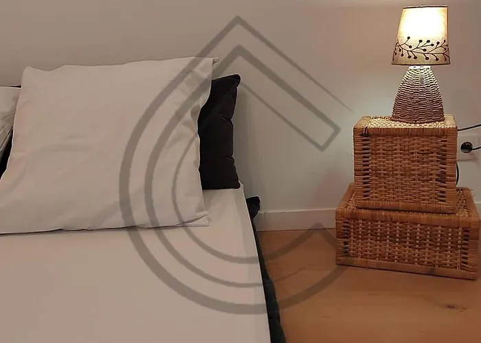 Cocon Du Centre Apartment